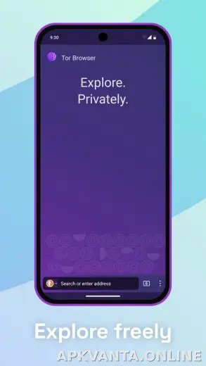 Tor Browser скриншот 5